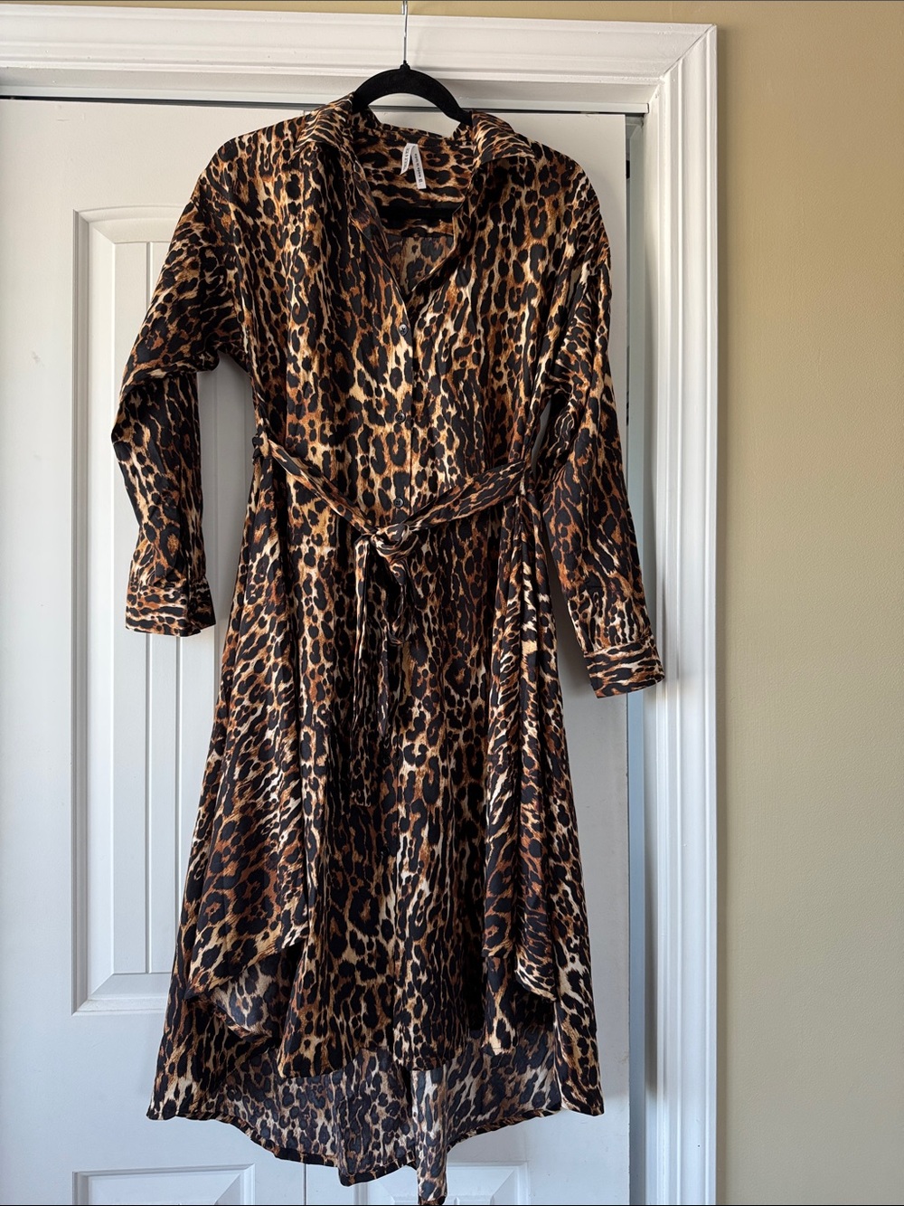 Leopard Print Tie-Waist Dress